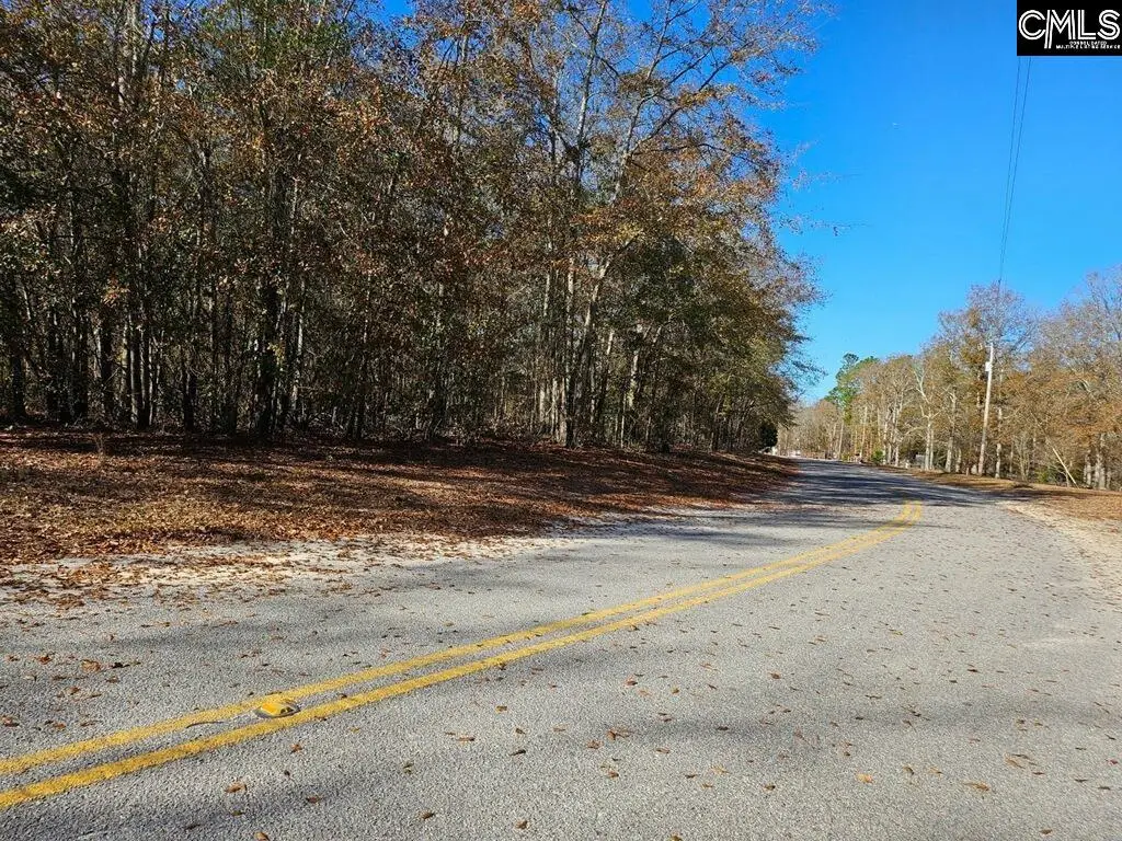 275 Twin Lakes Road, Neeses, SC 29107 - Image #1