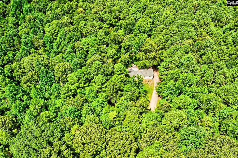 1549 Doctor Bowers Road, Little Mountain, SC 29075 - Image #2