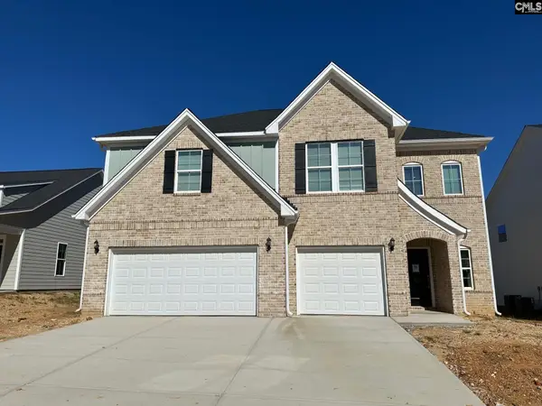 323 Rising Stream Way, Chapin, SC 29036
