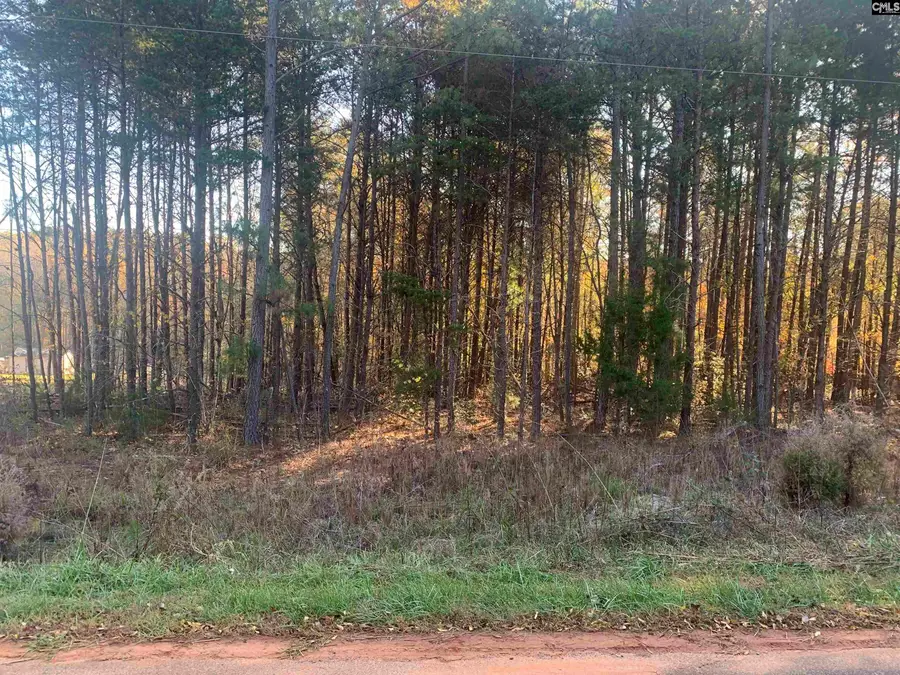 Bill Lattimore Road, Chesnee, SC 29323 - Image #2
