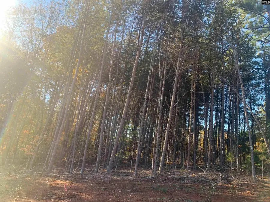 Bill Lattimore Road, Chesnee, SC 29323 - Image #3