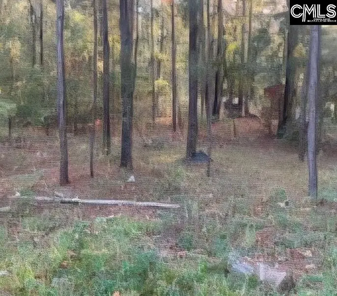 35 Simmons Dr., Camden, SC 29020 - Image #3