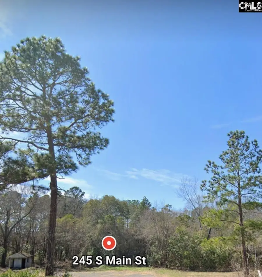 245 South Main Lot A Street, Gaston, SC 29053 - Image #2