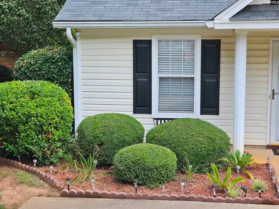 126 Fair Haven Way, Chapin, SC 29036 - Image #3