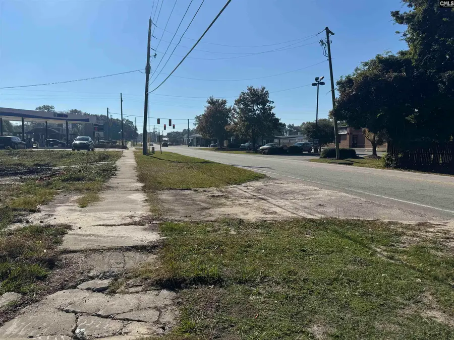 208 Mitchell Street, Batesburg, SC 29006 - Image #3