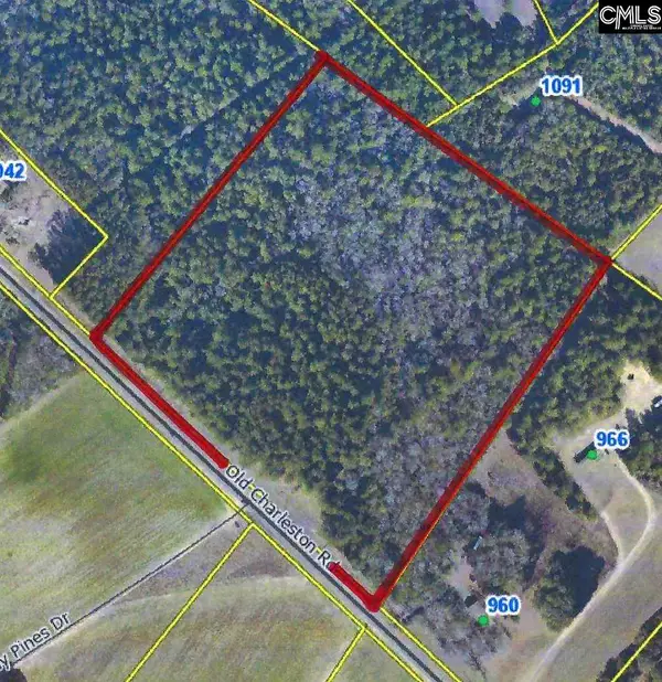 TBD Old Charleston Road, Pelion, SC 29123