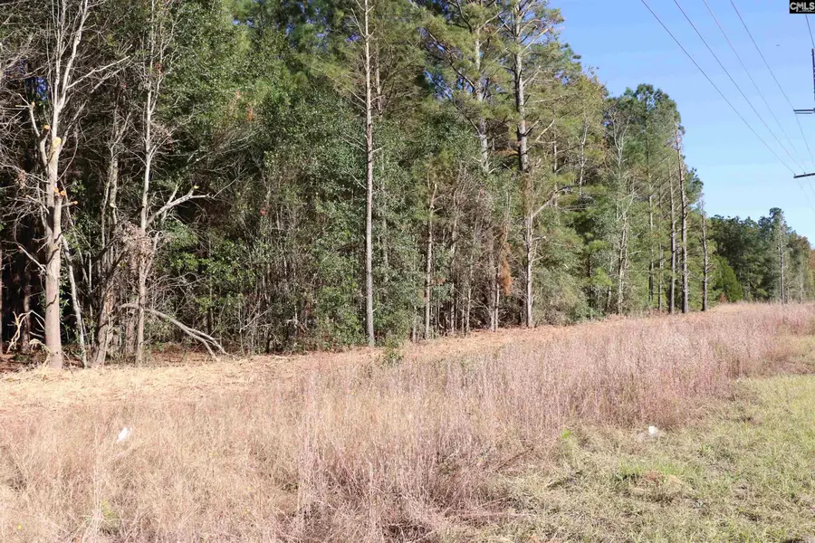 TBD Old Charleston Road, Pelion, SC 29123 - Image #2