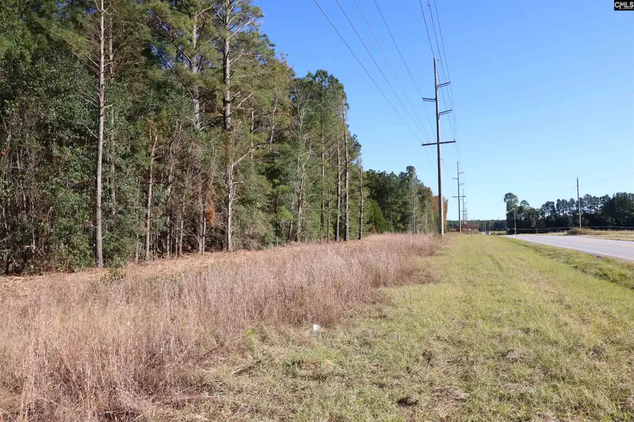 TBD Old Charleston Road, Pelion, SC 29123 - Image #3