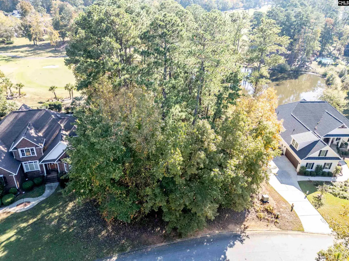 108 Oak Trace Court, Chapin, SC 29036 - Image #1