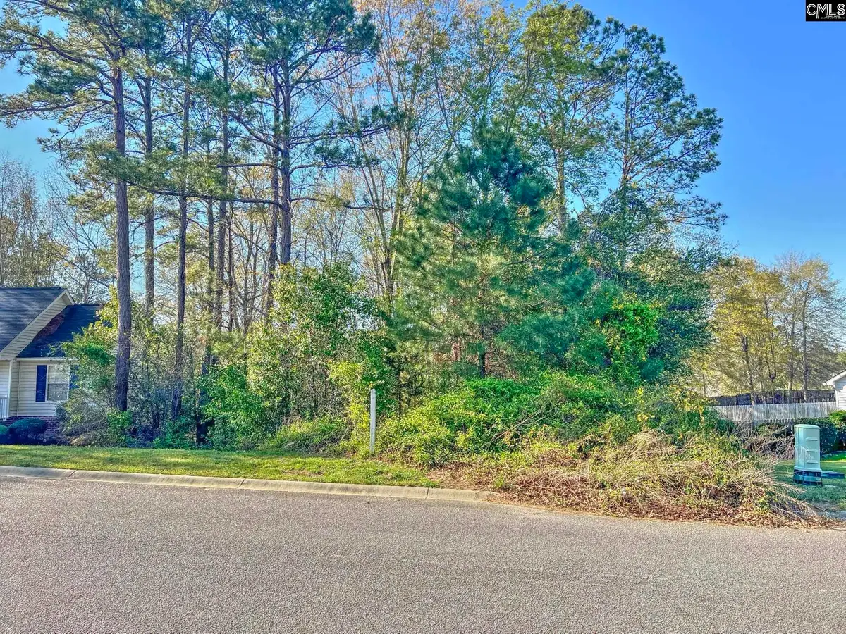 313 Downs Drive, Columbia, SC 29209 - Image #1