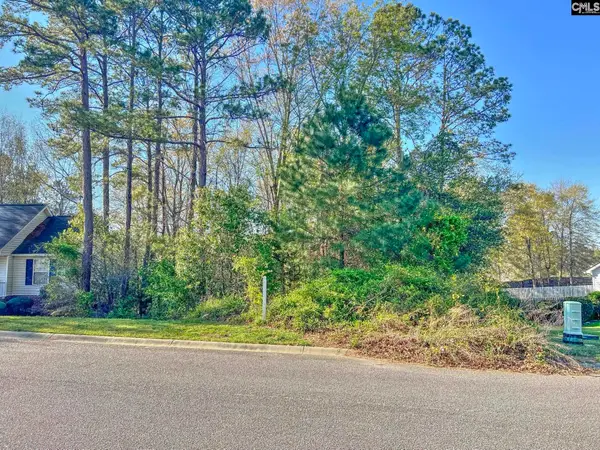 313 Downs Drive, Columbia, SC 29209