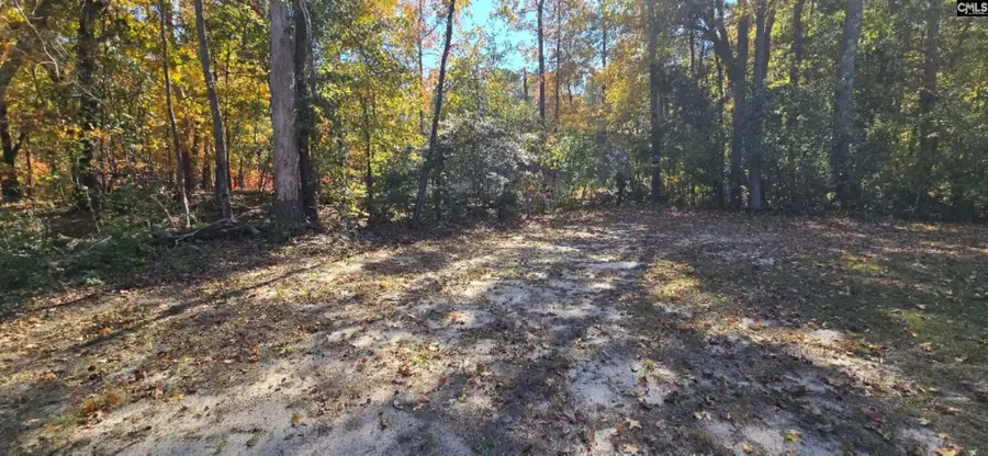 918 Piney Branch Road, Eastover, SC 29044 - Image #2