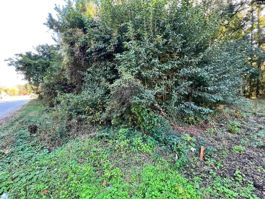 1704 Smith Street, Columbia, SC 29209 - Image #2