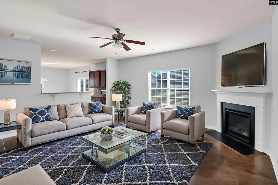 869 Sunseeker Drive, Chapin, SC 29036 - Image #2