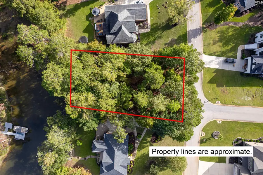416 Lookover Pointe Drive, Chapin, SC 29036 - Image #3