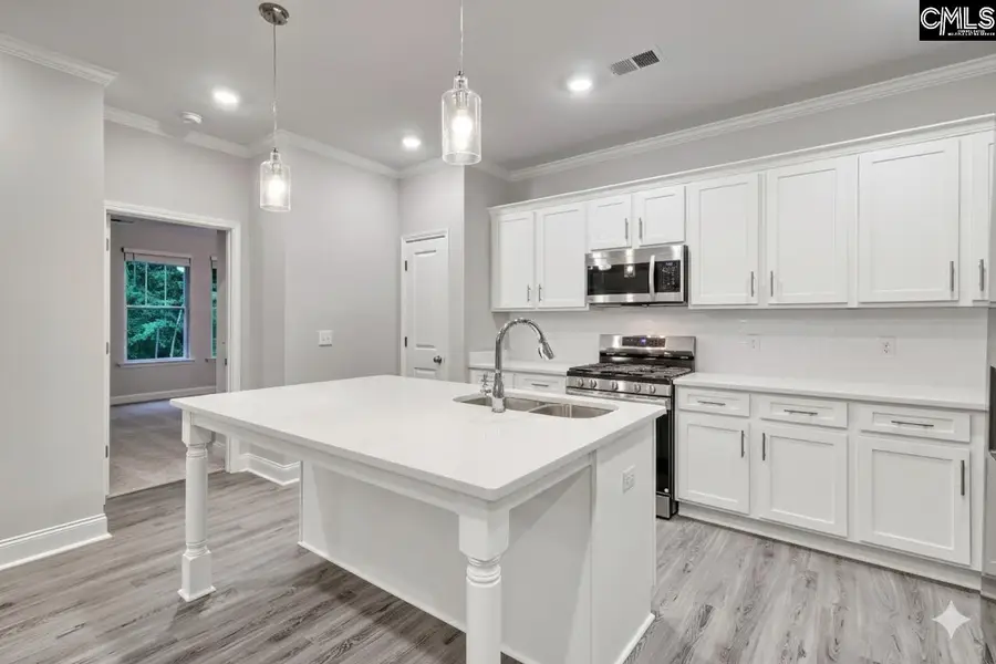 246 Backspin Drive, Elgin, SC 29045 - Image #3