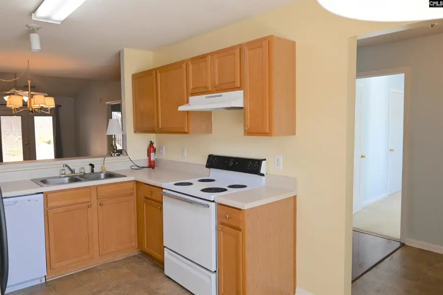 110 Haynesworth Place, Lexington, SC 29072 - Image #2