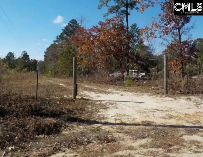 704 Goldie Road, Leesville, SC 29070 - Image #1
