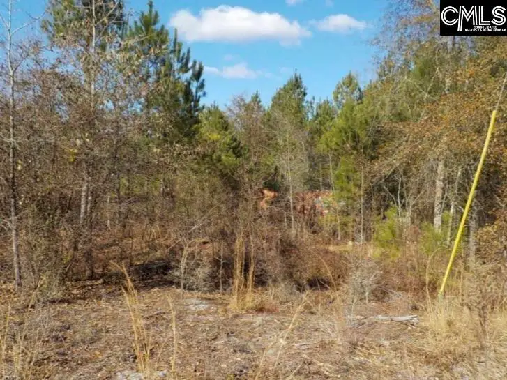 704 Goldie Road, Leesville, SC 29070 - Image #2