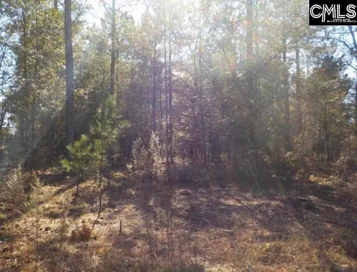 704 Goldie Road, Leesville, SC 29070 - Image #3