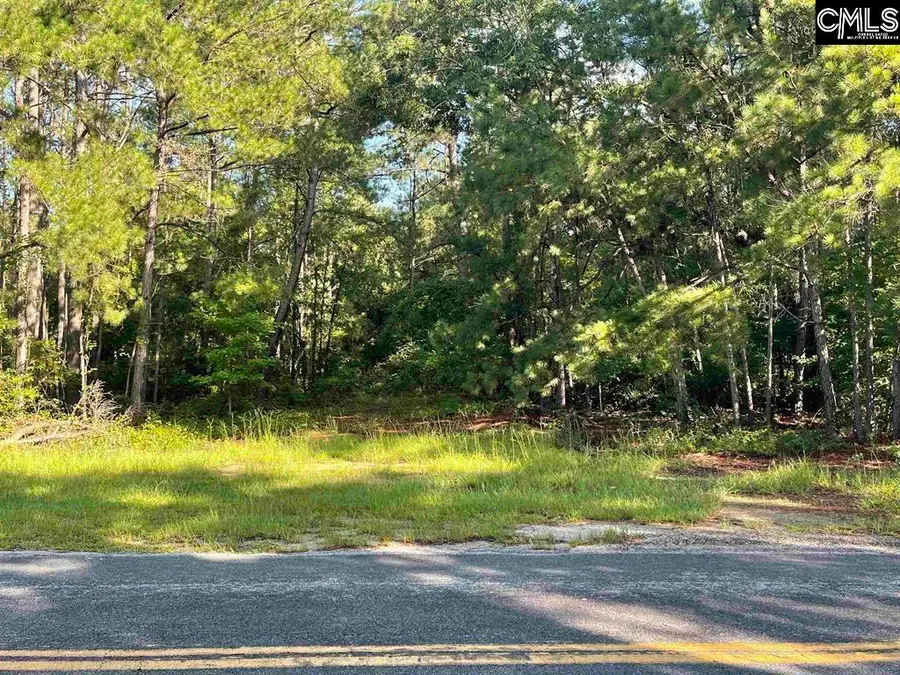 681 New Hope Road, Orangeburg, SC 29118 - Image #3