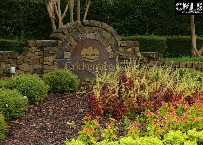 210 Stormycreek Lane, Blythewood, SC 29016 - Image #1