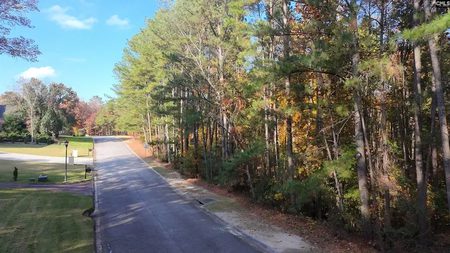 210 Stormycreek Lane, Blythewood, SC 29016 - Image #2