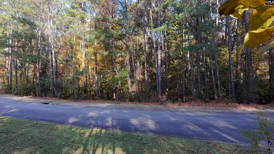 210 Stormycreek Lane, Blythewood, SC 29016 - Image #3