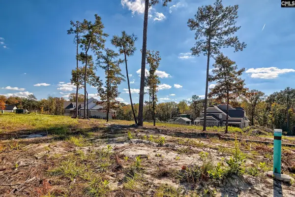 183 Coopers Nursery Rd, Elgin, SC 29045