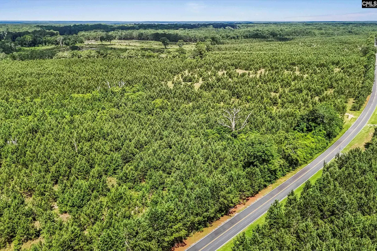 lot 1 Old 96 Indian Trail, Wagener, SC 29164 - #1