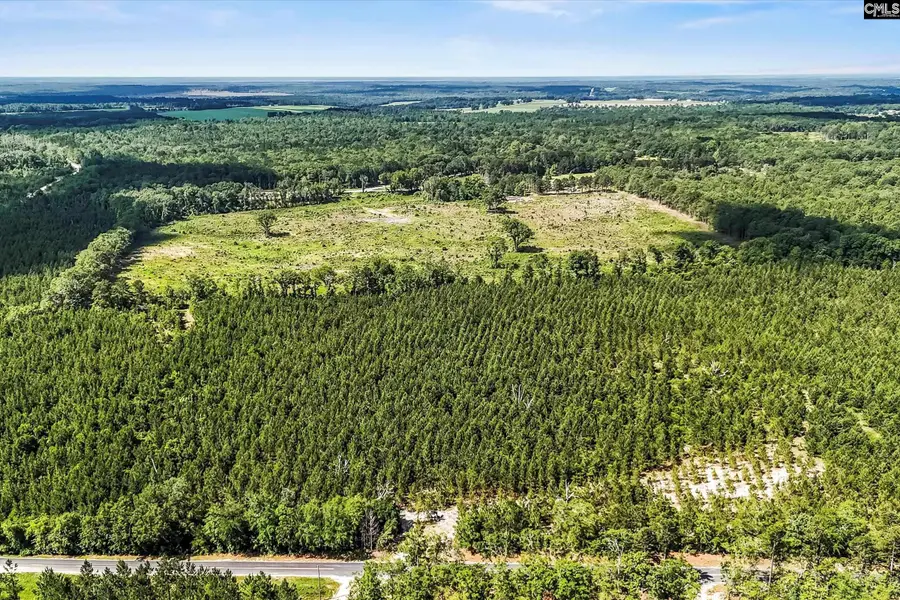 lot 1 Old 96 Indian Trail, Wagener, SC 29164 - #2