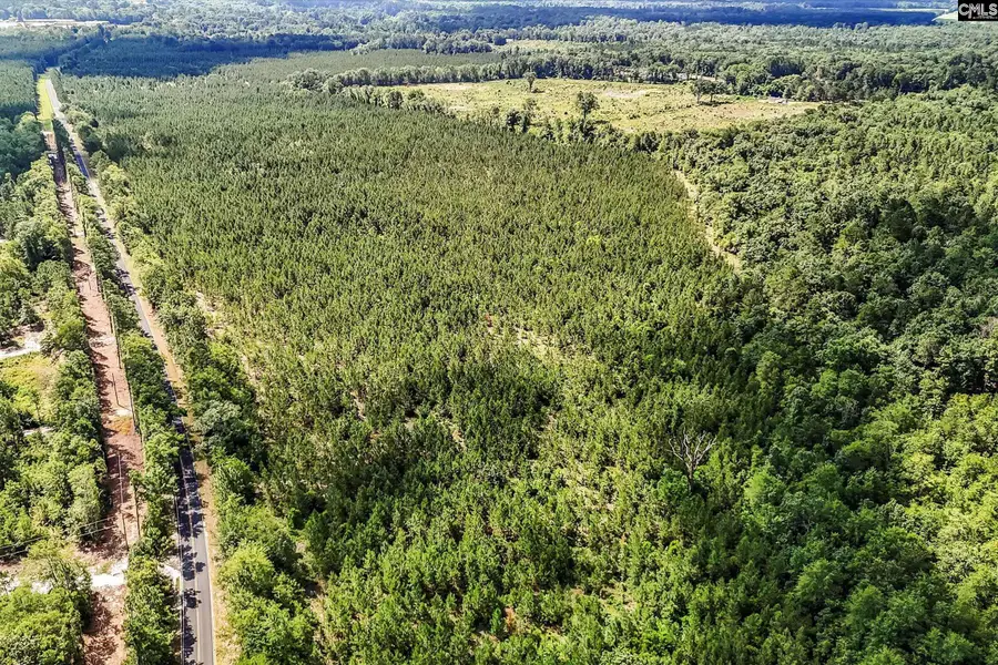 lot 1 Old 96 Indian Trail, Wagener, SC 29164 - #3