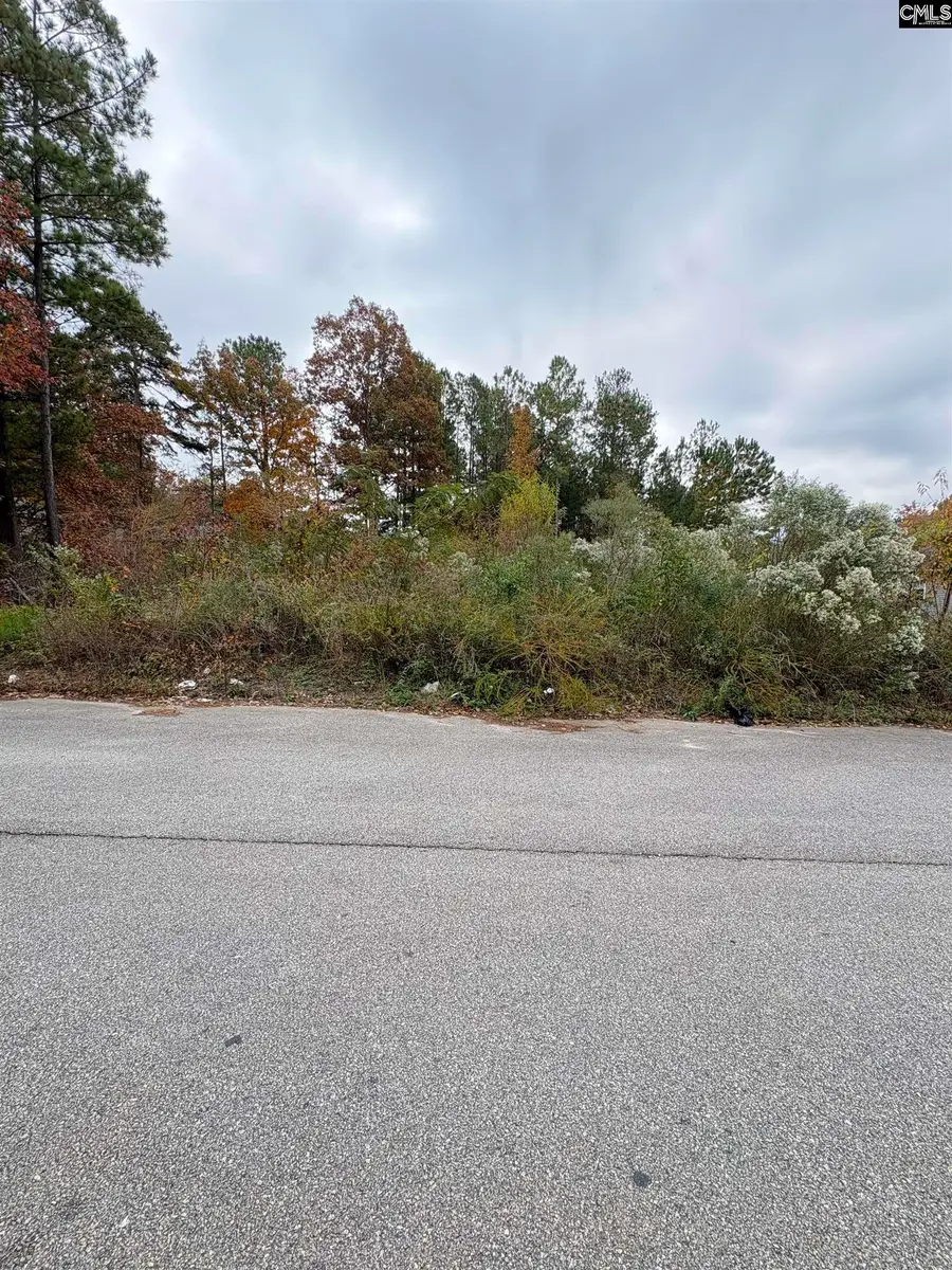 204 Rockcreek Road, Columbia, SC 29203 - Image #3