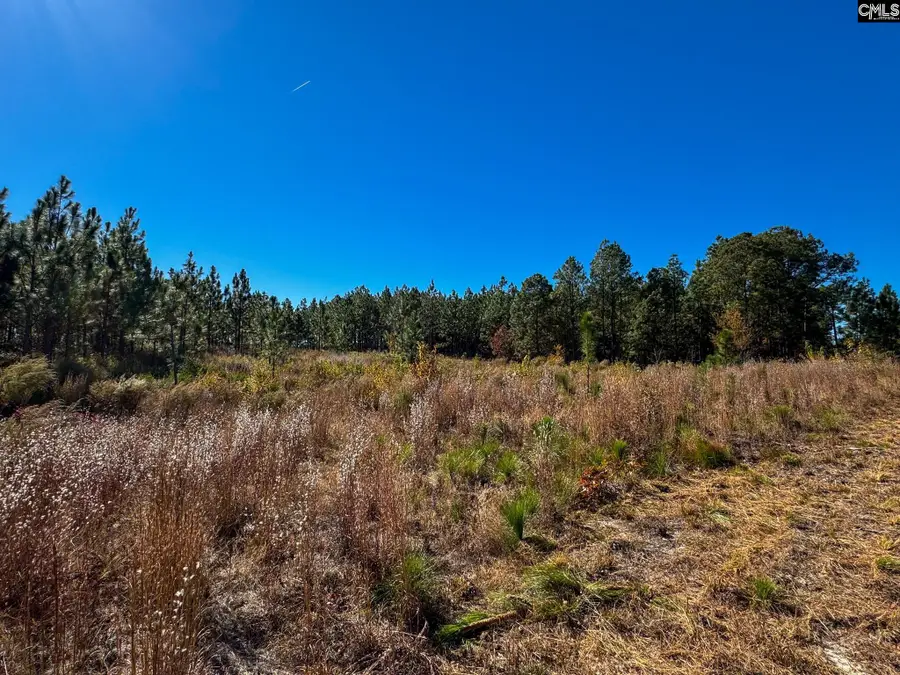 0 Bethel Lane, Leesville, SC 29070 - Image #2