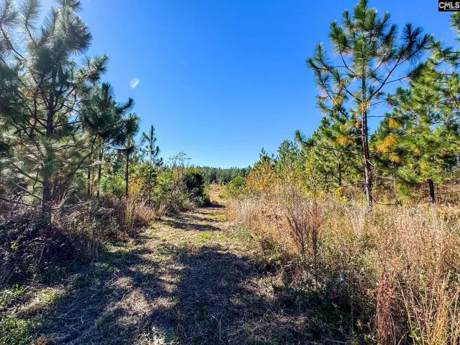 0 Bethel Lane, Leesville, SC 29070 - Image #3