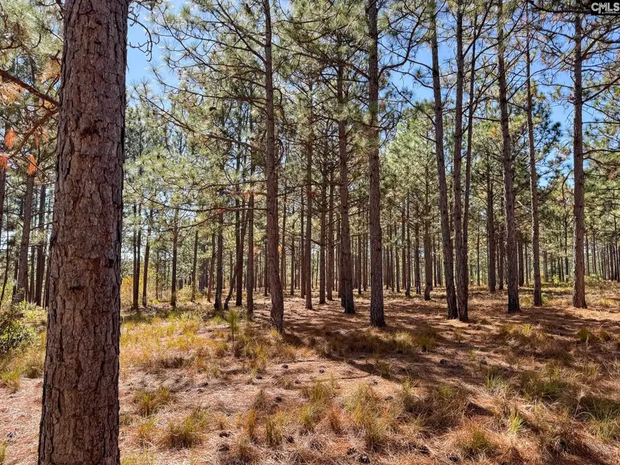 0 Bethel Lane, Leesville, SC 29070 - Image #3