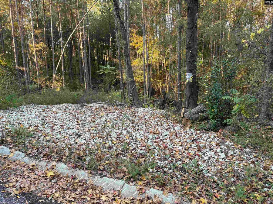 0 Weeping Cherry Lane, Columbia, SC 29212 - Image #3