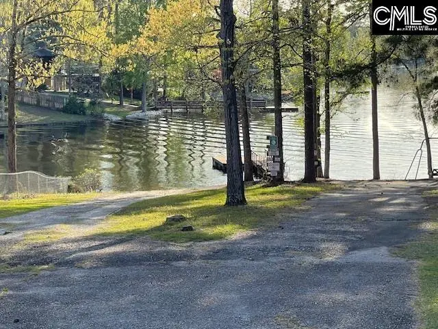 124a Lynch Lane, Chapin, SC 29036 - Image #1