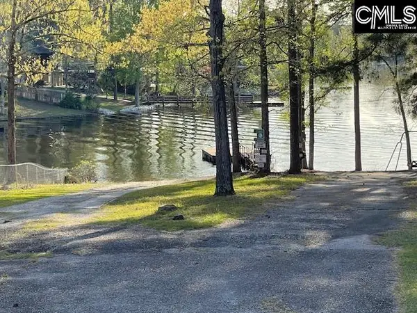 124a Lynch Lane, Chapin, SC 29036