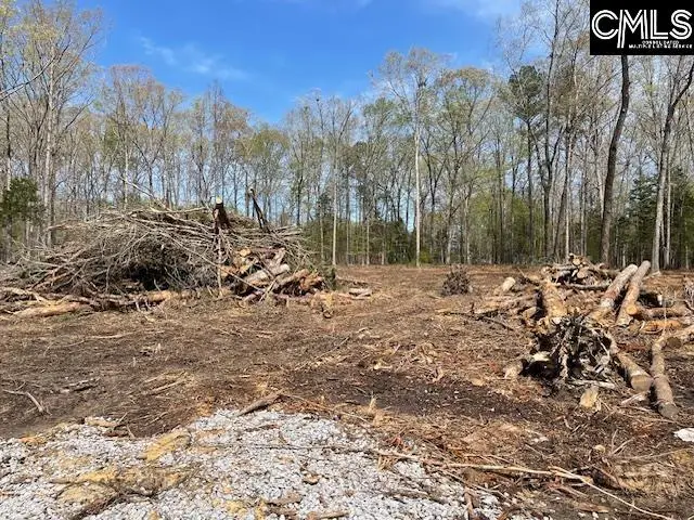 124a Lynch Lane, Chapin, SC 29036 - Image #3