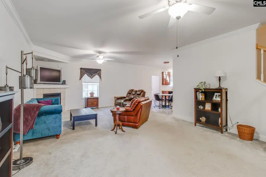 2515 Wessinger Road, Chapin, SC 29036 - Image #2