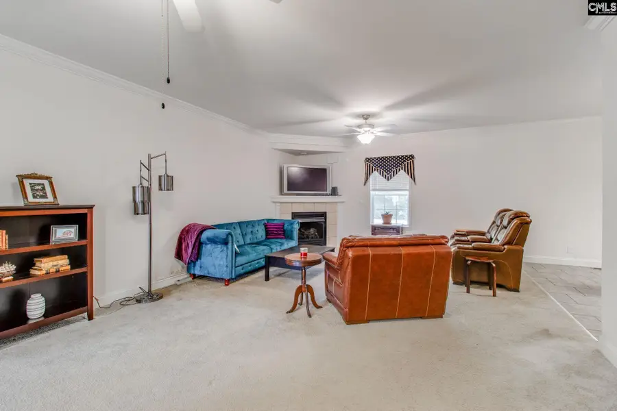 2515 Wessinger Road, Chapin, SC 29036 - Image #3