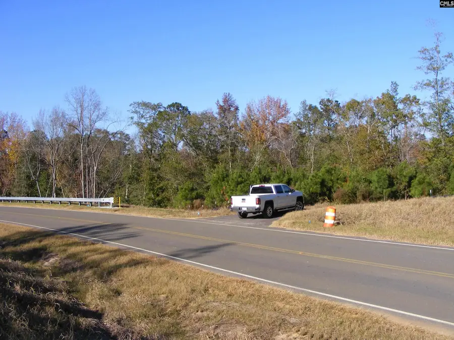 149 Branham Branch Road, Swansea, SC 29160 - Image #2