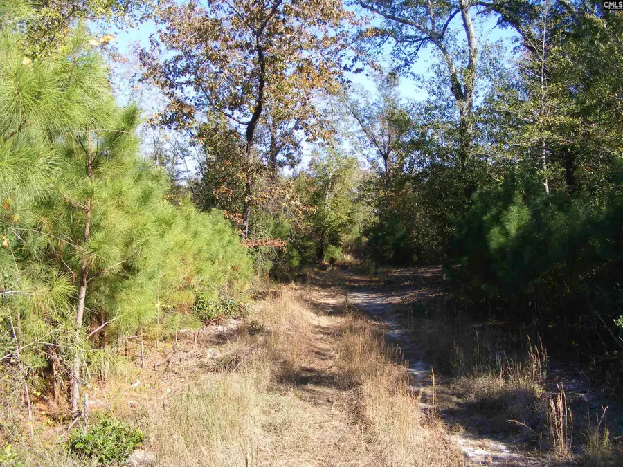 149 Branham Branch Road, Swansea, SC 29160 - Image #3