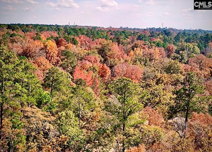 1435 Community Pond Road, Eastover, SC 29044 - Image #3