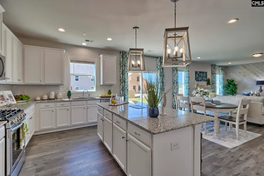 634 Basalt Court, Chapin, SC 29036 - Image #2