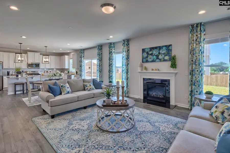 634 Basalt Court, Chapin, SC 29036 - Image #3