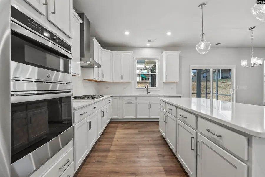373 Chapin Place Way, Chapin, SC 29036 - Image #2