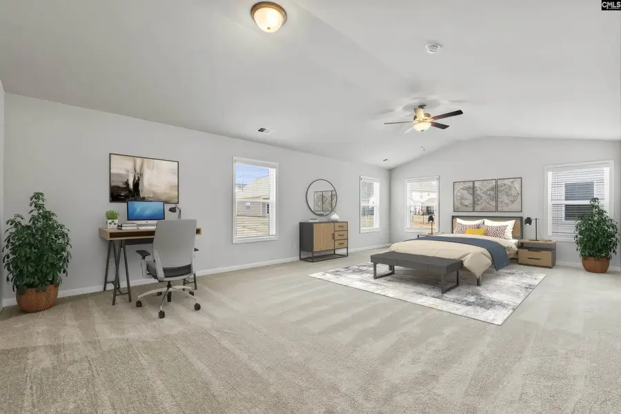 373 Chapin Place Way, Chapin, SC 29036 - Image #3