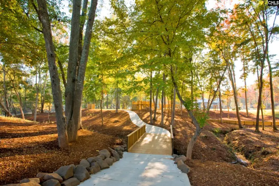 303 Proprietors Drive, Lexington, SC 29072 - #2